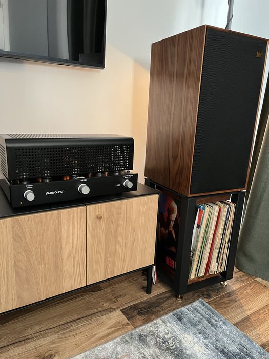 Amplificator lampi clasa A Puresound A30