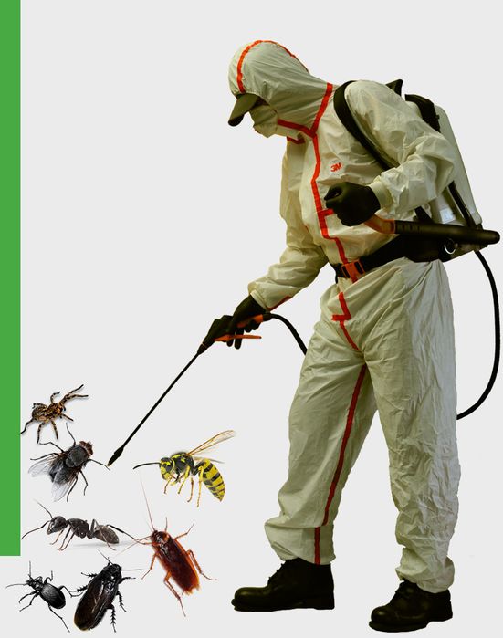 Ploșnițe/gândaci - Scăpa de acești dăunători nedoriți