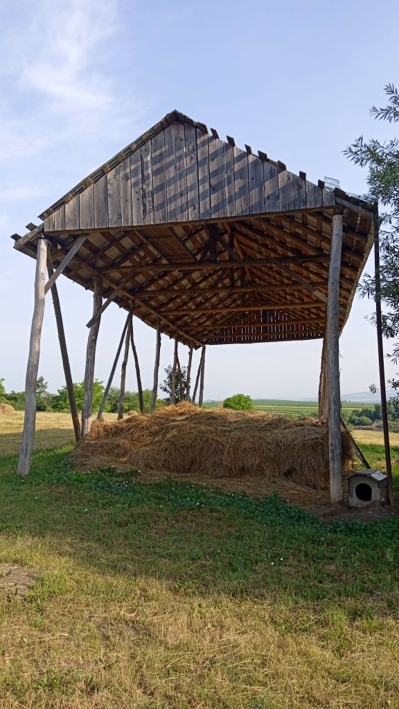 Ferma cu iazuri in Suceava 16 hectare