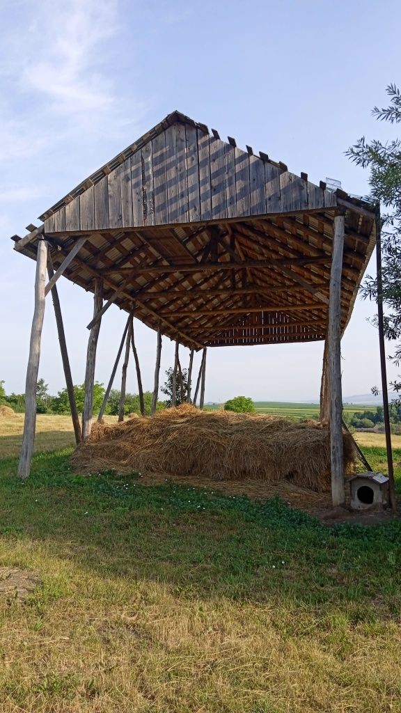 Ferma cu iazuri in Suceava 16 hectare