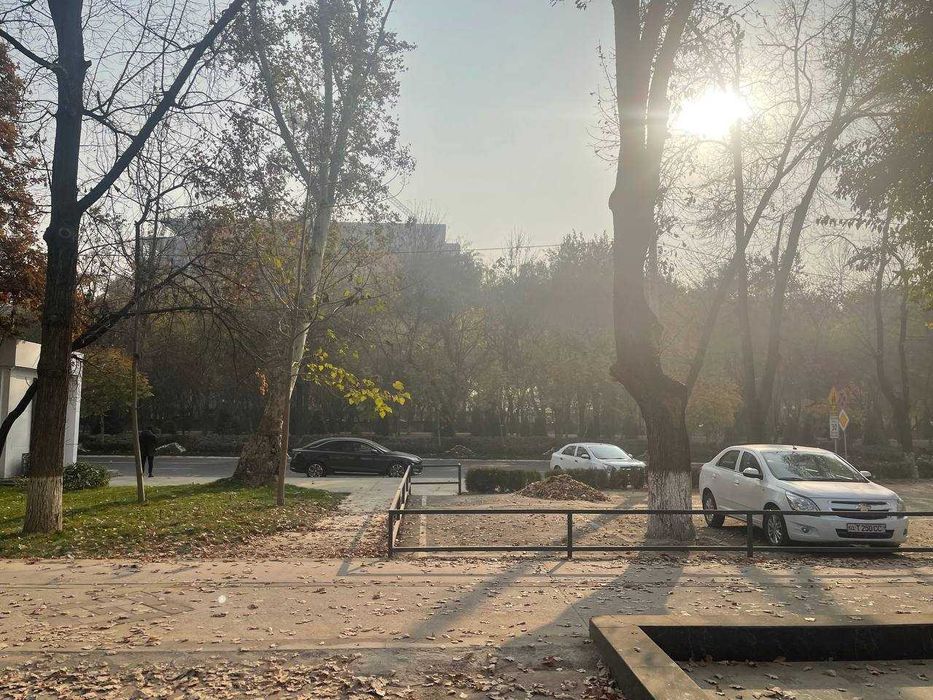 Нотурар жой ижарага топширилади