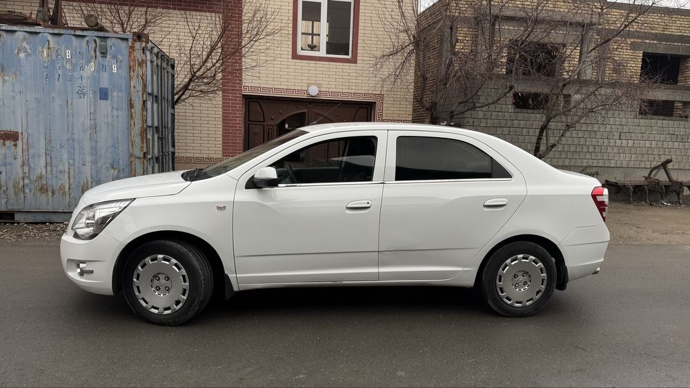 Coblt 2014  2 pazitsa