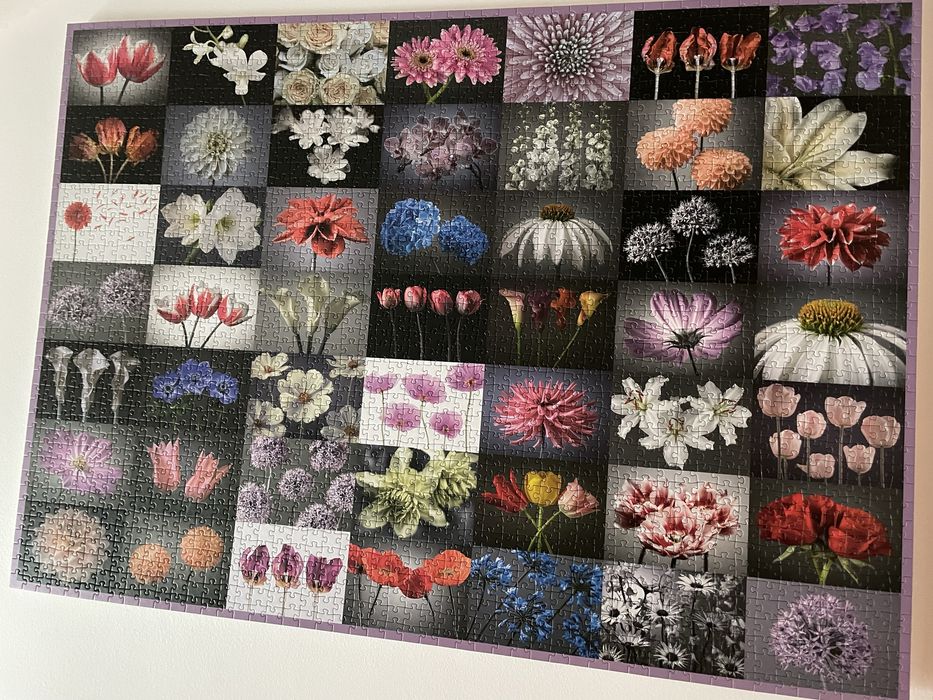 Puzzle 1500-4000 de piese