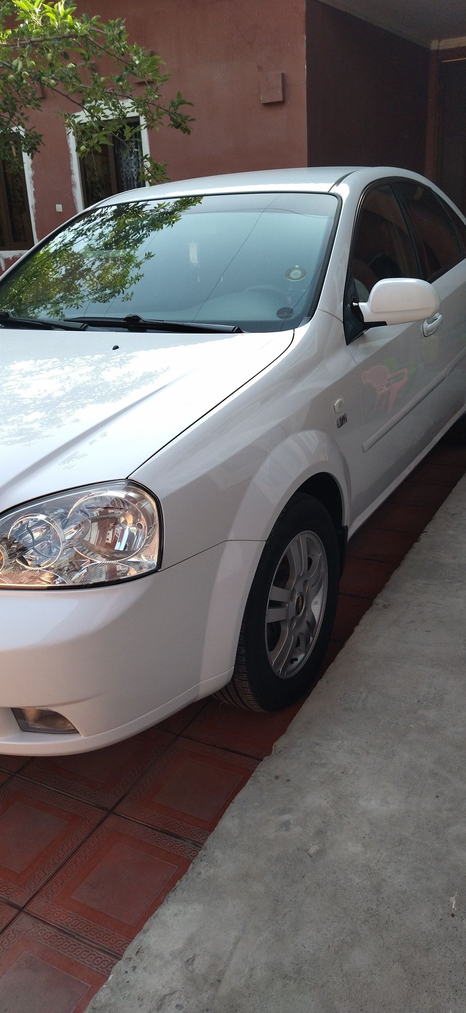 Lacetti 1.8 petno bor