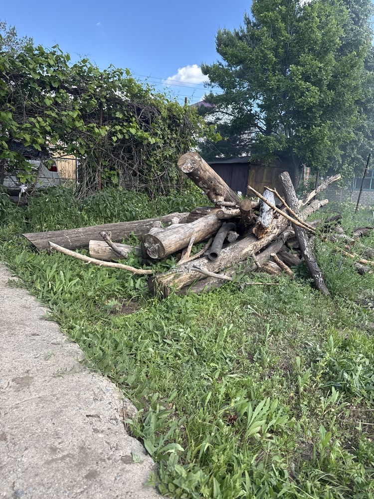 Дрова сухие даром