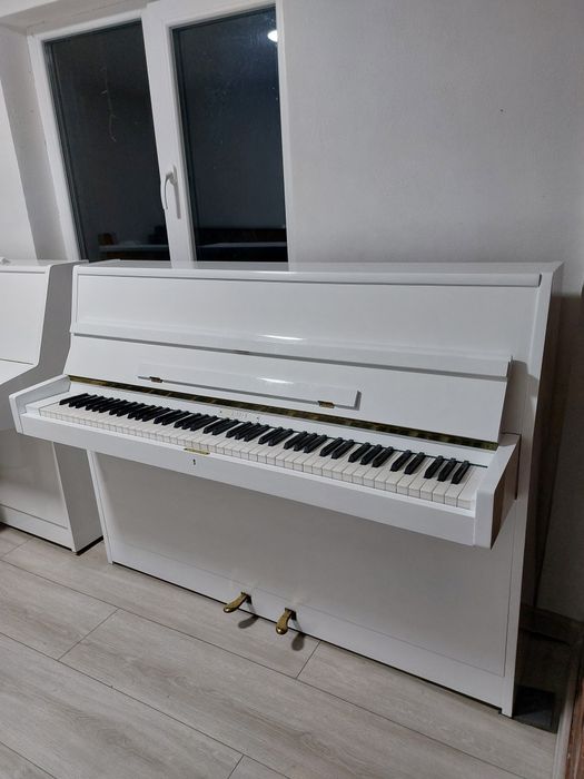 Pianina Rippen ( transport gratuit, garanție)
