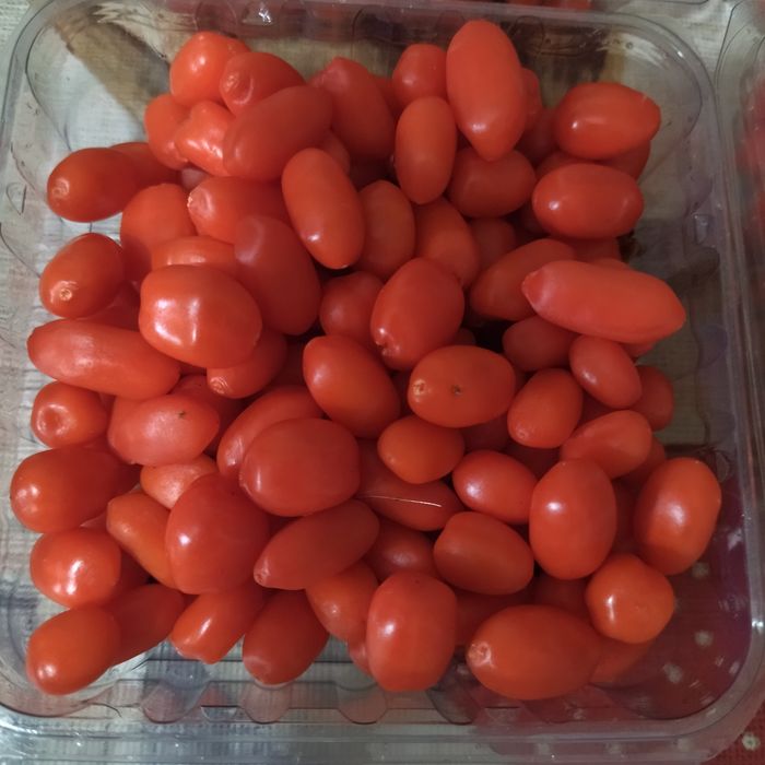 Годжи бери - разсад