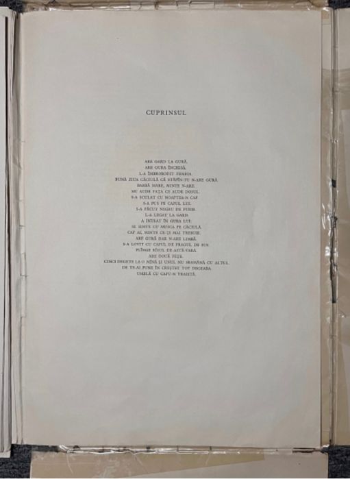 Proverbe și zicători, Perahim, Completa, 20 linogravuri,RAR