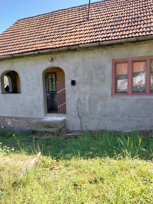 Casa cu sura si anexe + teren de vanzare