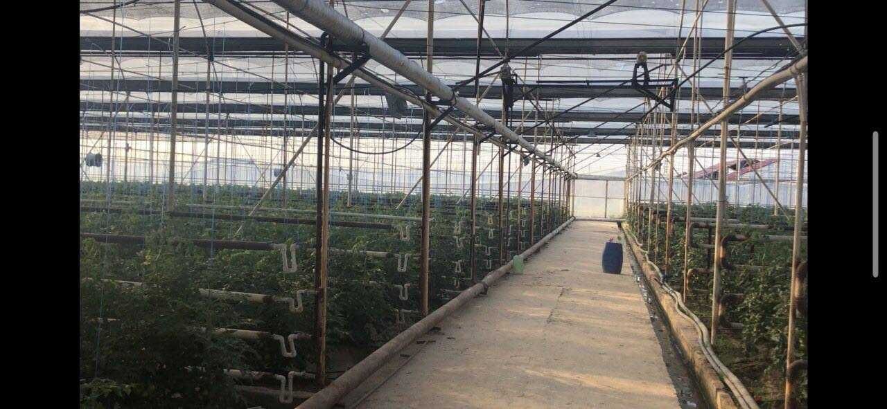 Продаётся  5 гектаров Земли в Янгиюуль