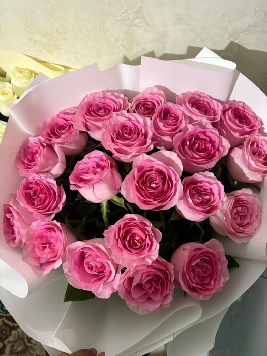 Гүл сатылады бүгінгі