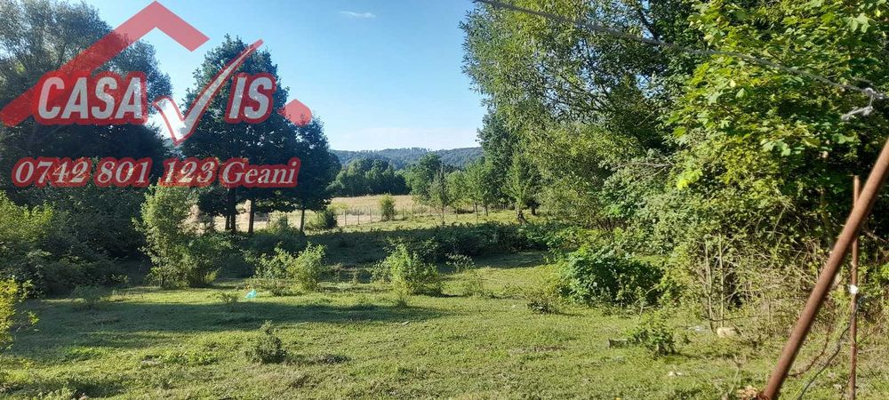 Teren zona Scutaru intravilan 6 euro/mp