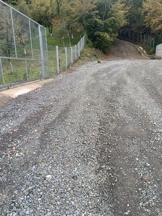 Vând teren intravilan