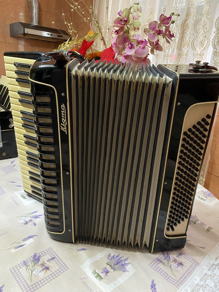 Acordeon acordeon