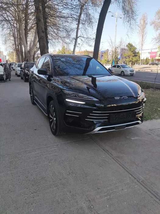 Byd Сhempion  boshlangich 30% dan 70% gacha