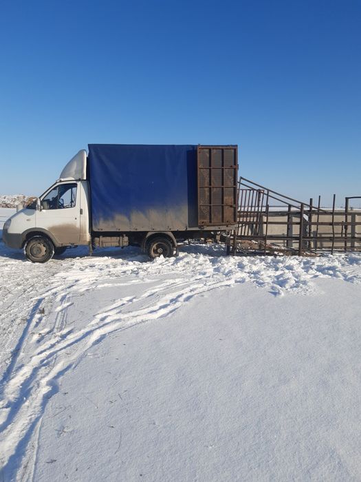 Перевозка скота. крс мрс лошадей.