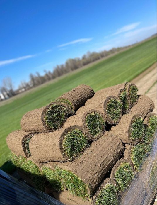 Gazon rulou premium calitate extra