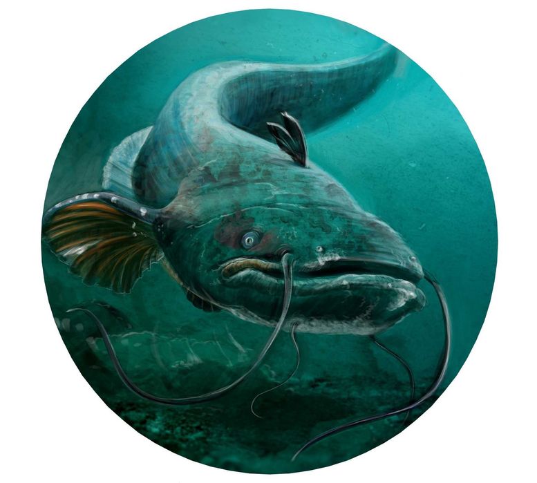 Калъф За Резервна Гума На Джип С Риба Риби