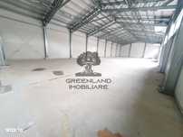 Hala industriala, 430mp, inaltime 8m, langa DJ 248, trifazic 50KW