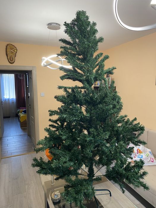 Коледна елха в много добро състояние