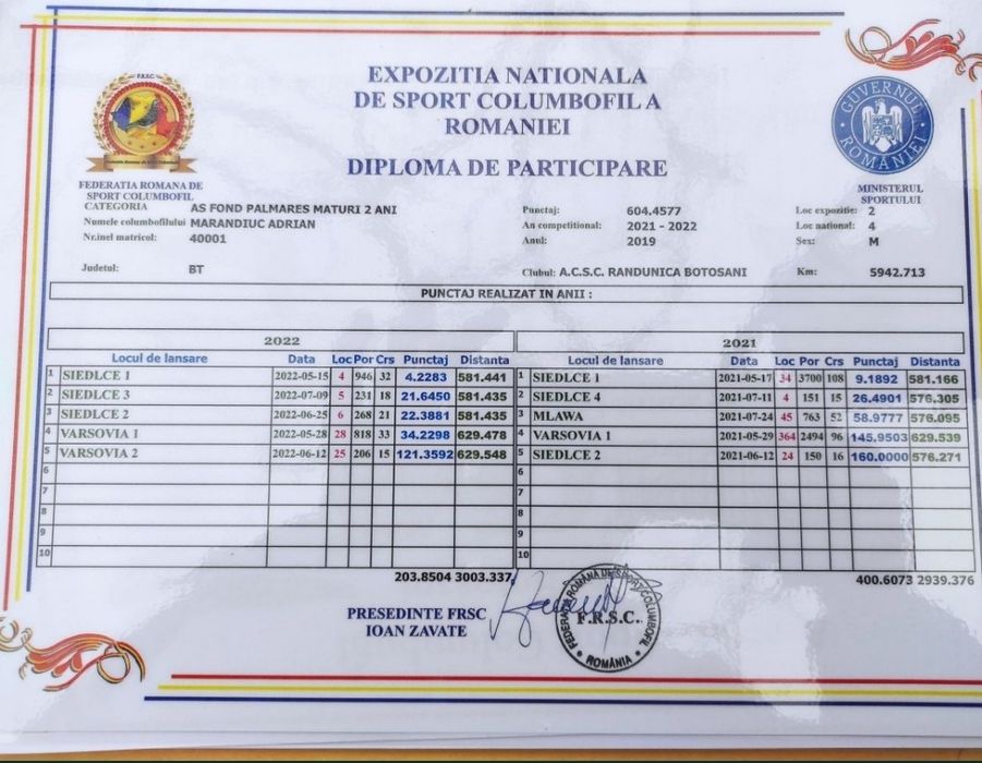 Desființare crescătorie porumbei voiajori belgieni cu rezultate expo