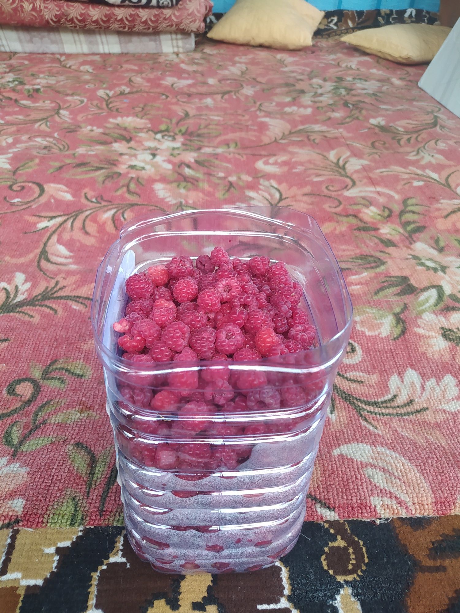 Малина смородина