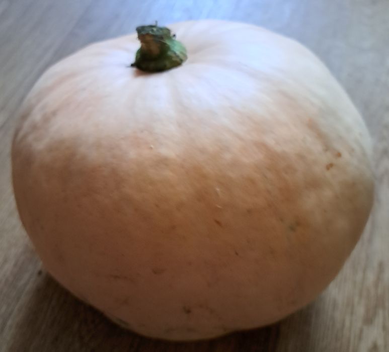 Продам тыкву домашнюю