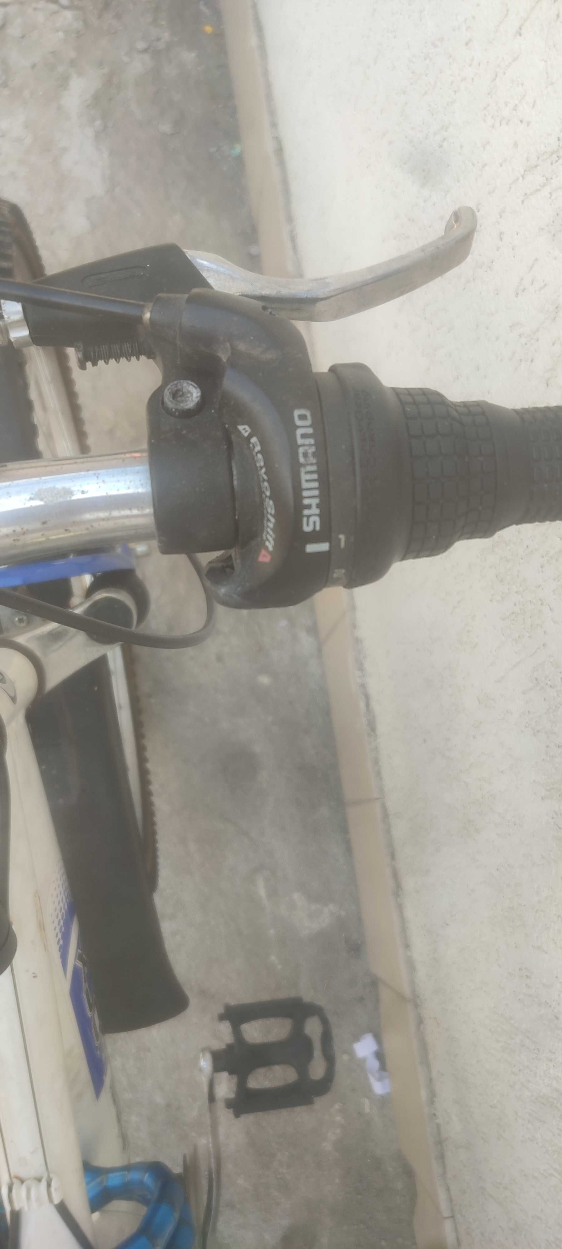 Bicicleta de vânzare