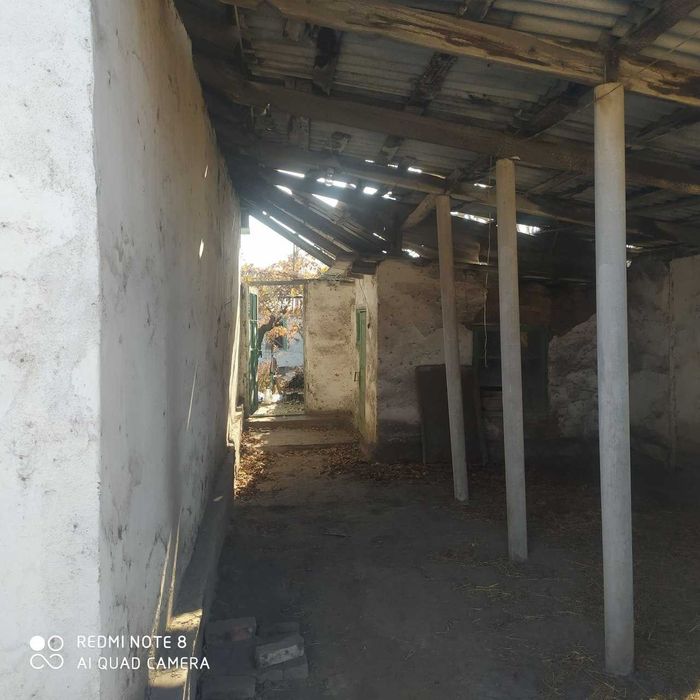 Бузиб олиш учун уй