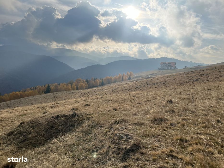 Teren de vânzare ideal pentru cabană – Zona Vălari,Păltiniș (6131 mp)
