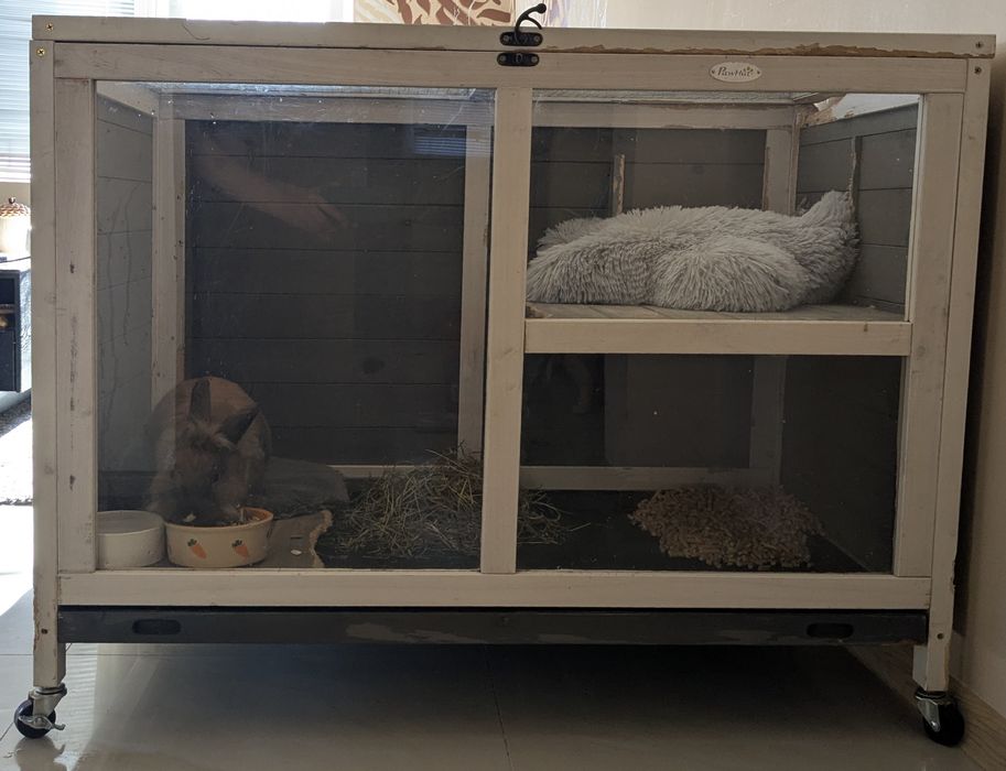 Декоративен заек (лъвска глава)