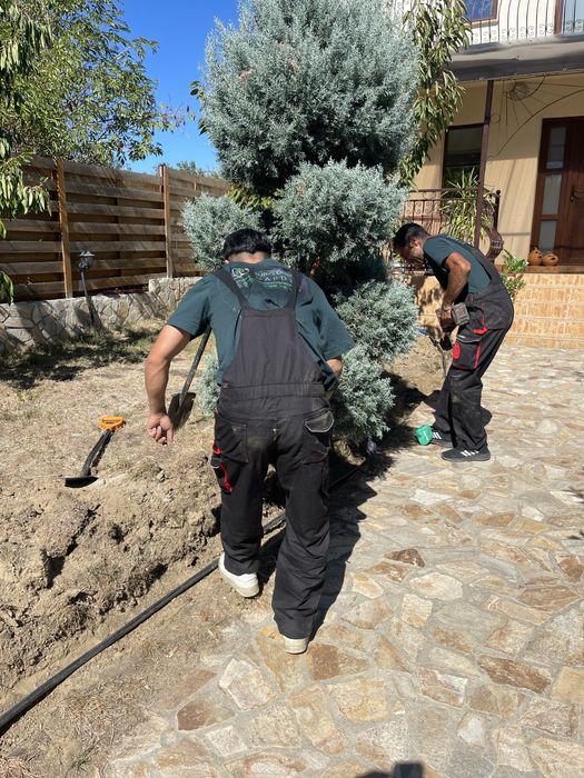 Gazon rulou si plante ornamentale