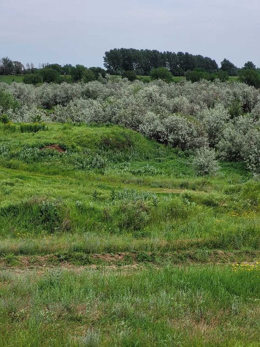 2 га в с. Кошмамбет, Карасайский район, Алматинская область
