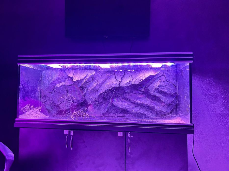Acvariu pești  450 l
