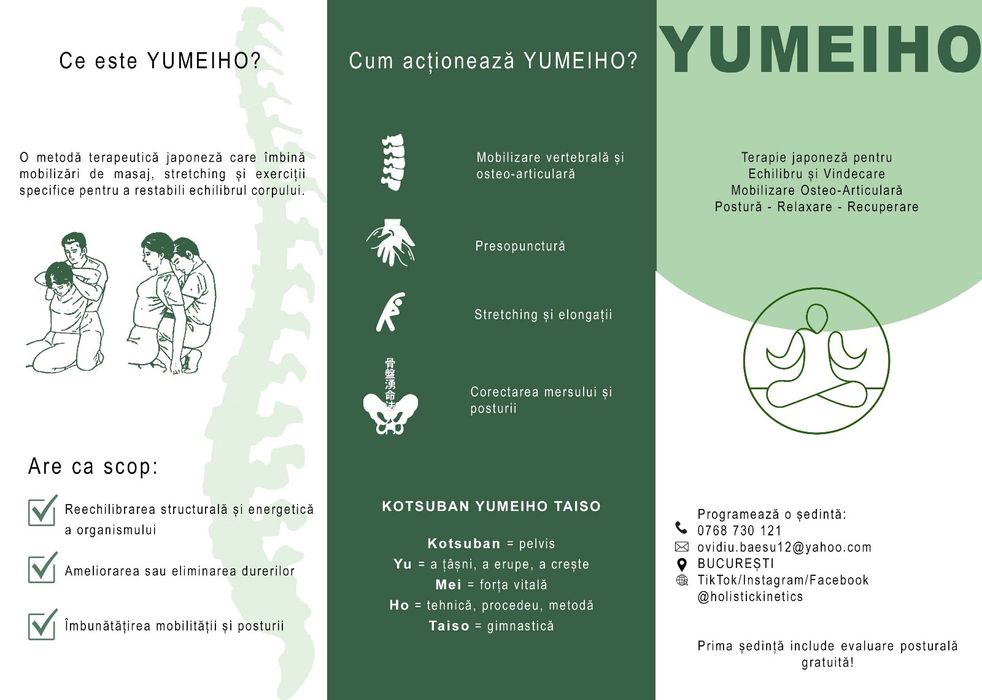 Terapie Yumeiho și Kinetoterapie