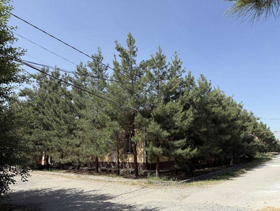 5 хона 6 сотокдан иборат булган Каттедж сотилмокд