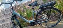 Bicicleta Electrica Victoria⁸