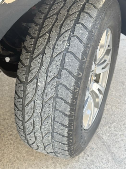 Требулезер 2020