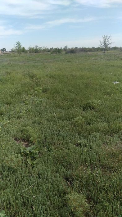 продам земельный участок за г/м Анвар, Dalida