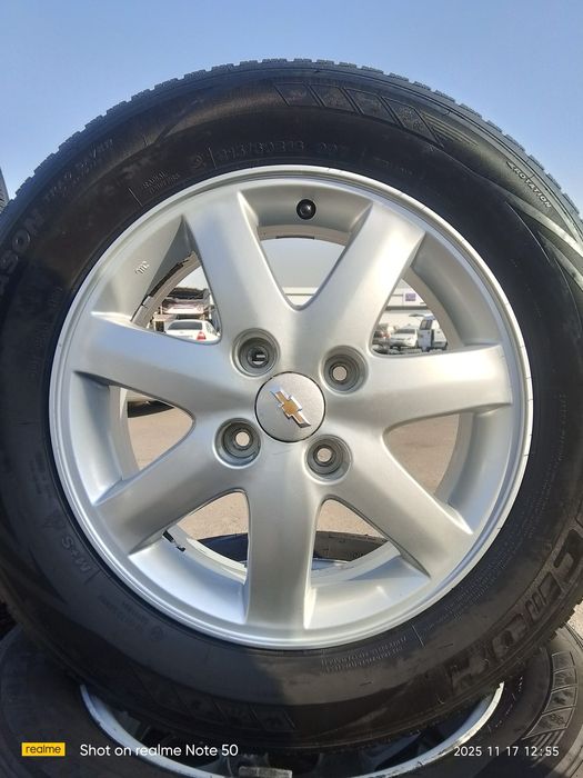 Epikaga  arginal r16 disk