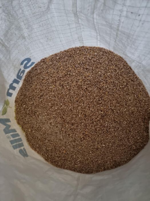 Furaj compos din triticale grau si porumb