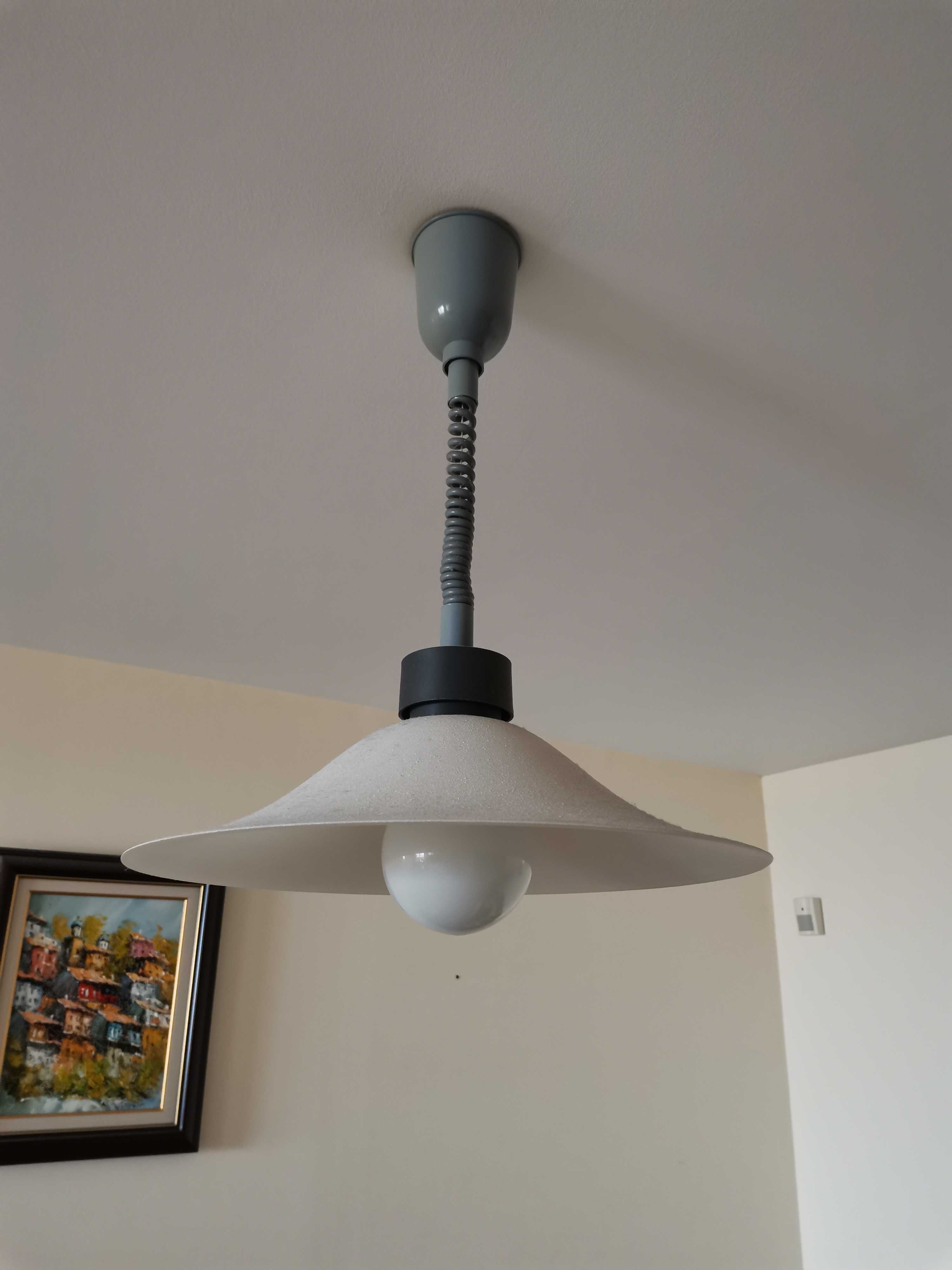 Лампа за таван с Led крушка