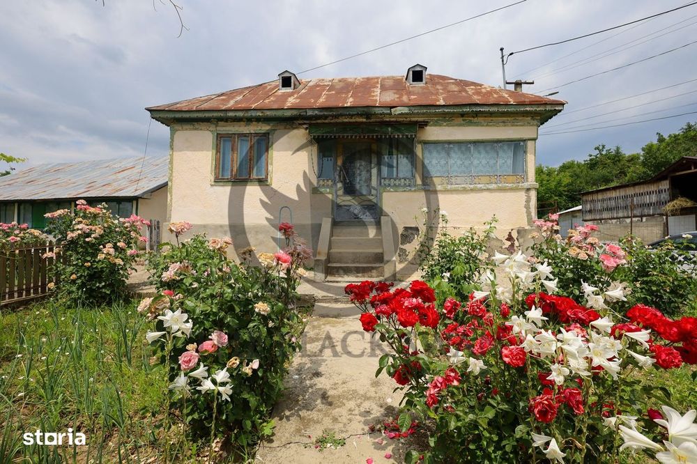 Casa cu 5 camere de vanzare | 700 mp teren | Valea Dulce, Prahova