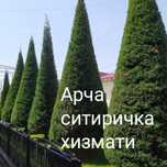 Садовник lanshaft дорилаш