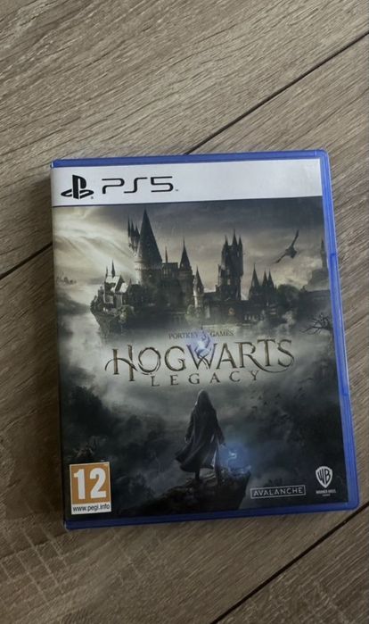 Hogwarts legacy с допами