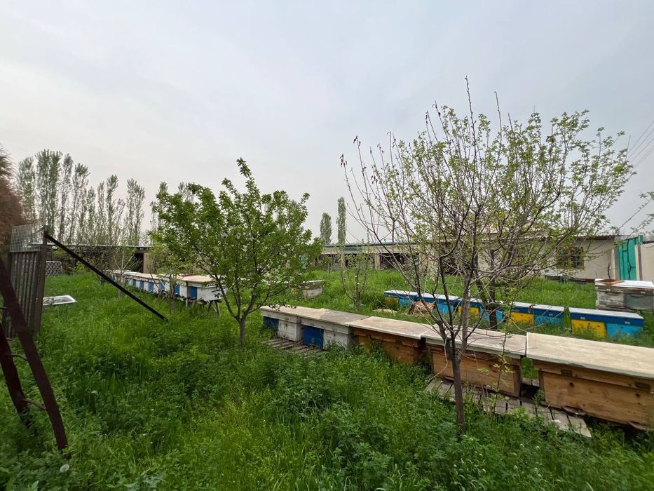 Продаётся дача. Дача сотилади. Акмал Икрамовная дачная зона. Пскент