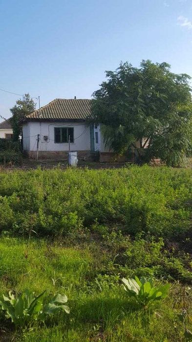 Vand casa cu teren, localitatea Sinoe, comuna Mihai Viteazu
