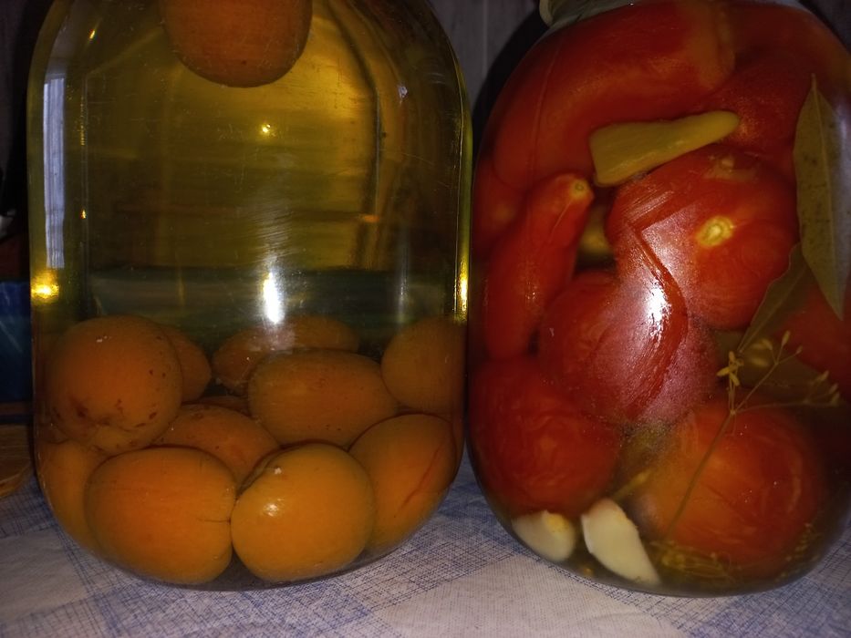 Маринованные помидоры и огурцы
