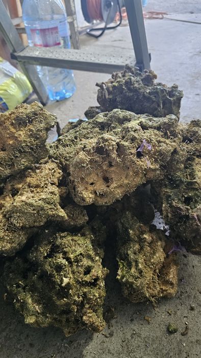 Piatra Acvariu Marin Reef Saver