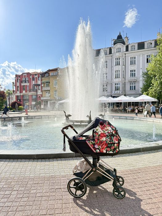 Кош за новородено Cybex Priam/e-Priam 4 Spring Blossom